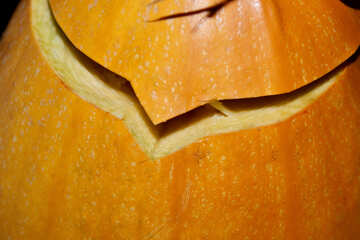 Homemade  pumpkin  to  Halloween №5978