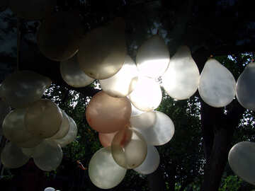 Garland  of the  inflatable  balls №5790