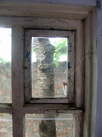 Window in an old box №5369