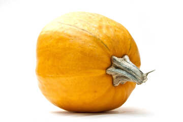 Pumpkin №5998