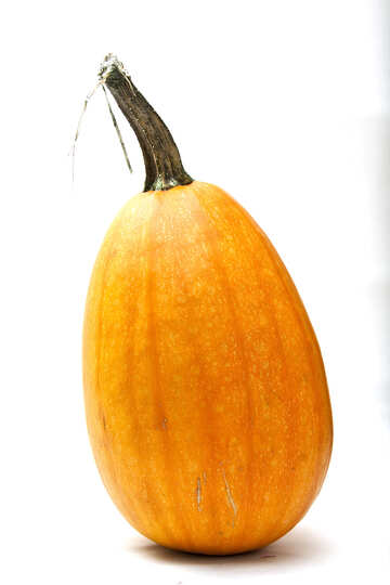 Long yellow  pumpkin №5995