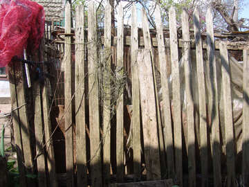Old fence №5349