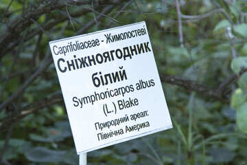 Indicatore Piante Botanico giardino. №5707