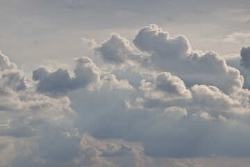Clouds №5559