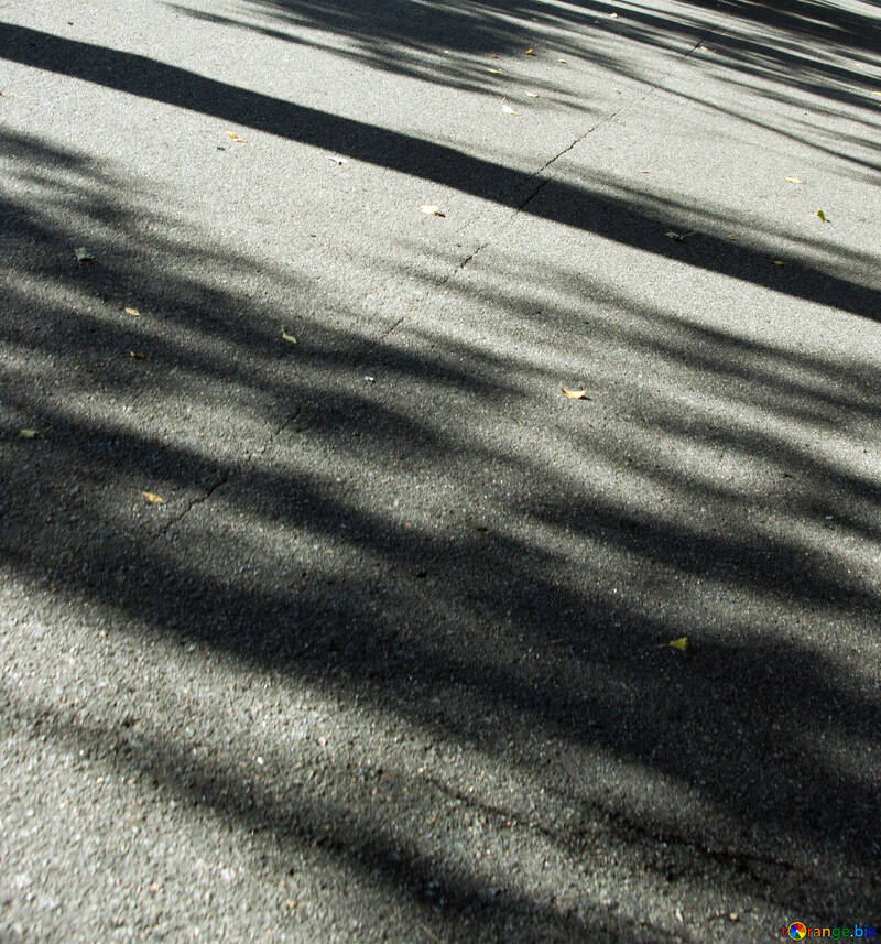 Schatten an Asphalt №5636