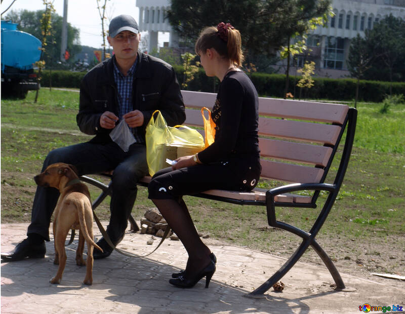 Paare auf einer Bank mit einem Hund №5377