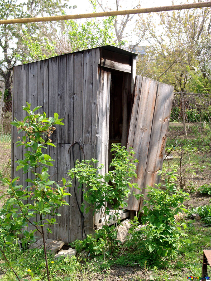 Outhouse.Rustic wooden toilet. №5414