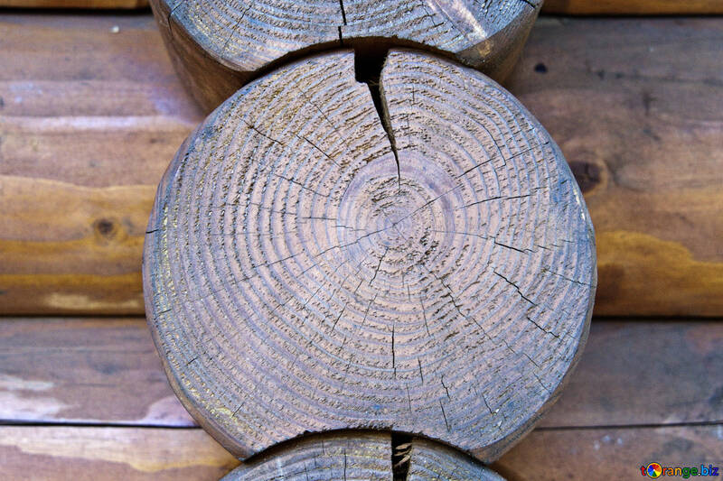 Speel  logs . log structure . texture. №5670