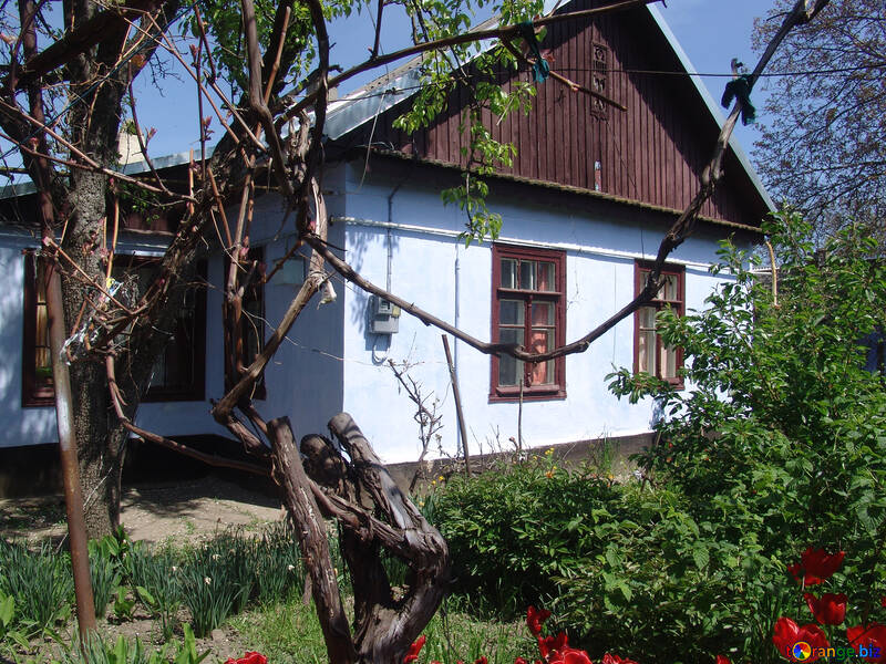 Country house №5373