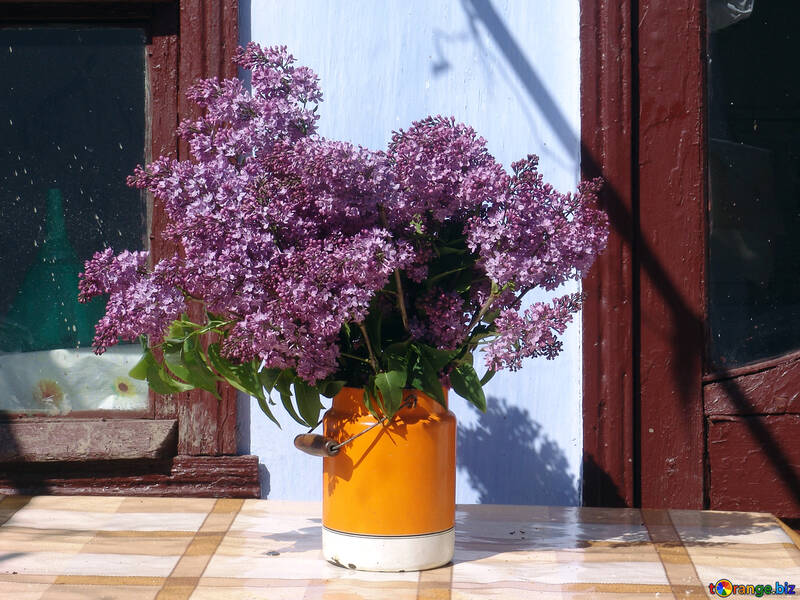 Lilacs in cans №5304