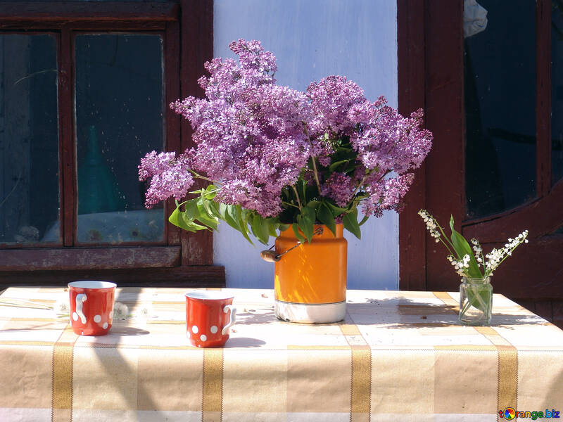 Still life with flowers.Spring in the village. №5307
