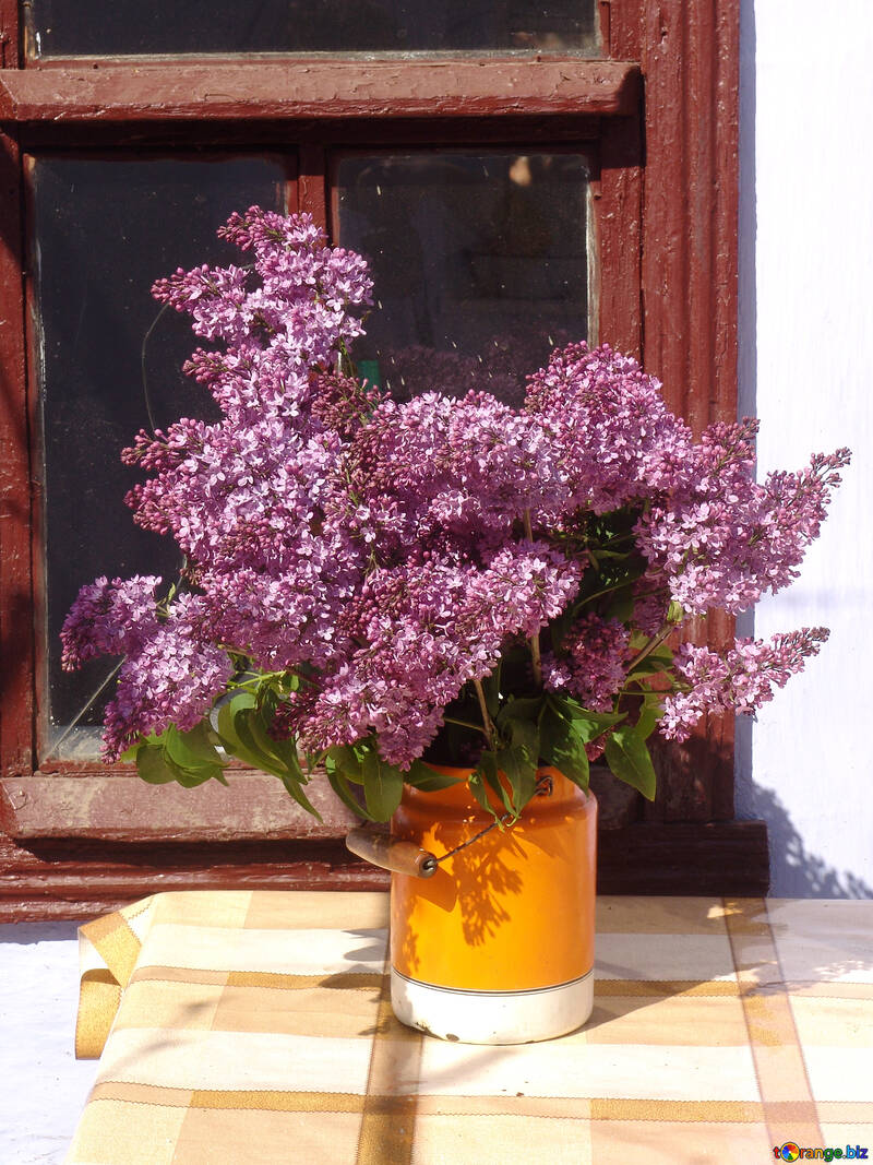 Ainda. Lilacs em umas latas. №5305