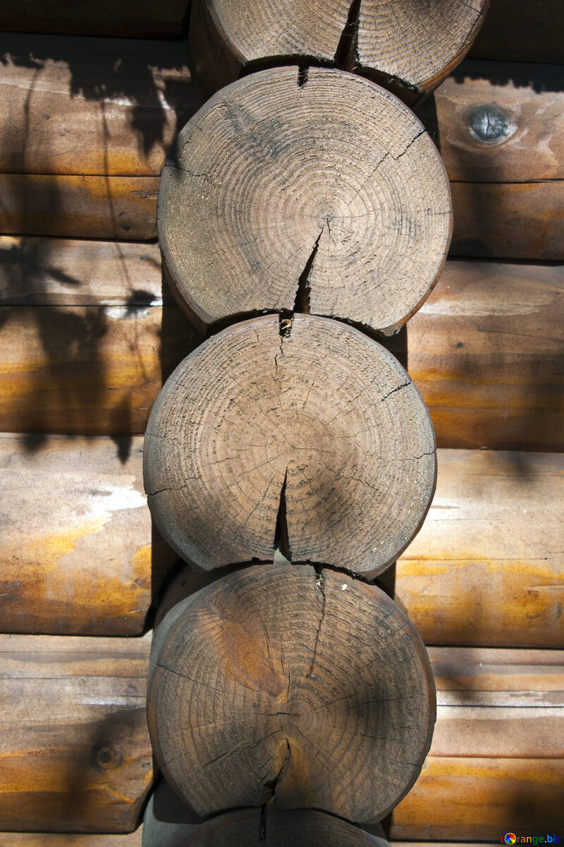 Butt  log  log . texture. №5650