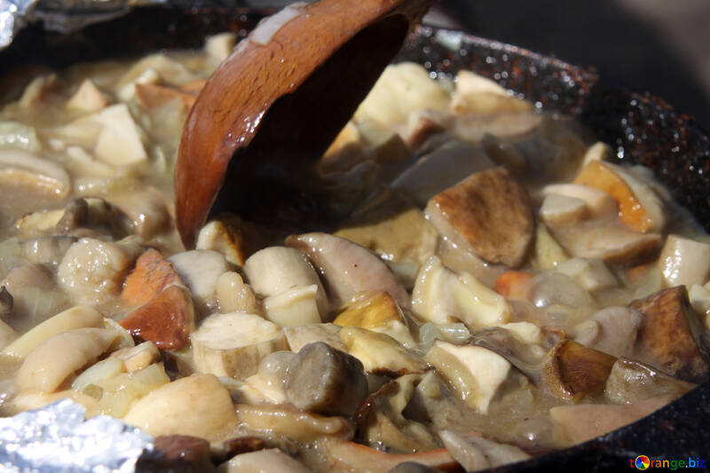 Mushroom stew №5520