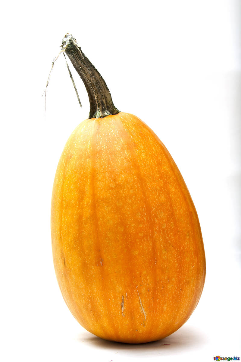 Long yellow  pumpkin №5995