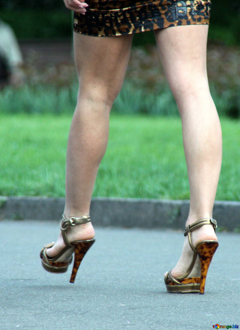 Legs high heels №5111