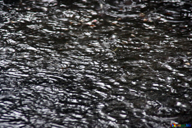 Stagno (acqua) nella pioggia, grandine. Struttura. №5237