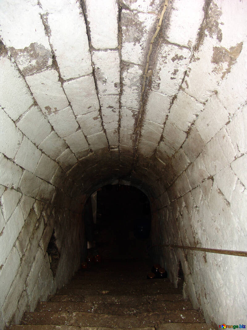 Cellar №5365