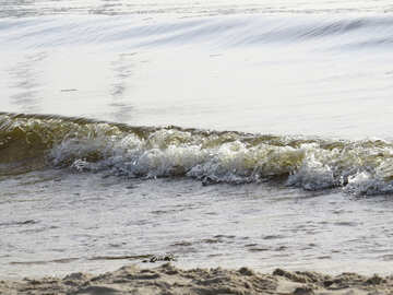 Пляжні хвилі №50762