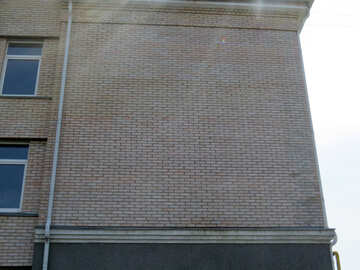 Brick wall №50481