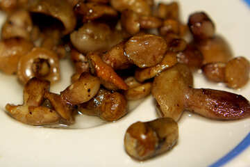 mushrooms food №50630