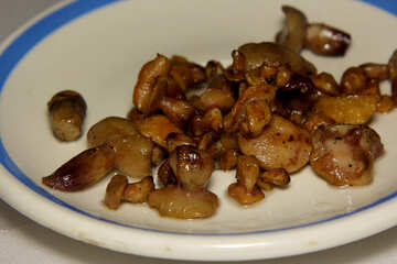 Mushrooms  food №50632