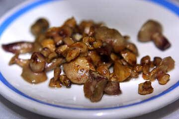 Musshrooms sul piatto №50627