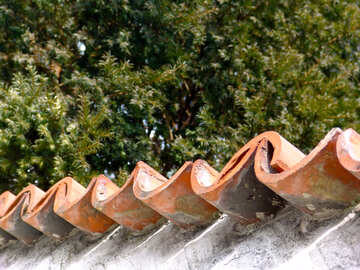 The device of a roof from pipes №50216