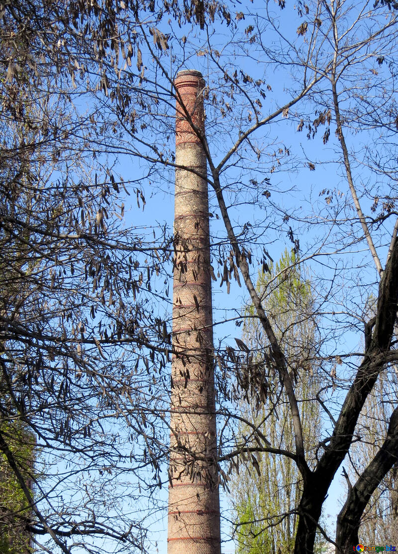 Tower behind tree branches №50358