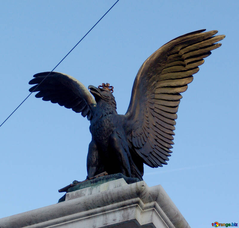 Eagle sur le toit №50115