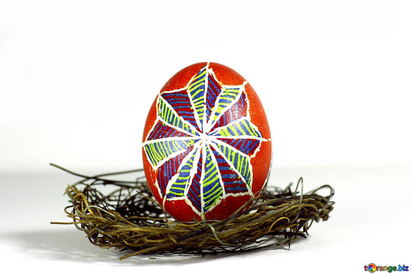Huevo de colores en un nido №50261