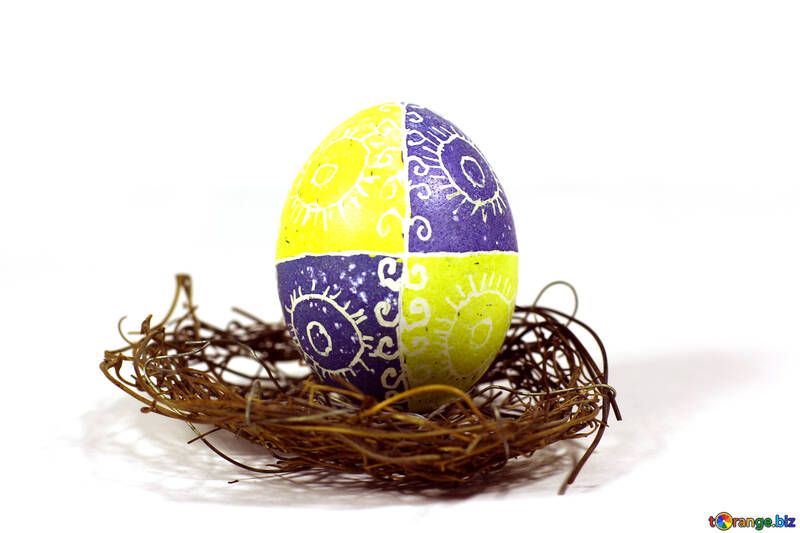Gemaltes Ei in einem Nest №50253