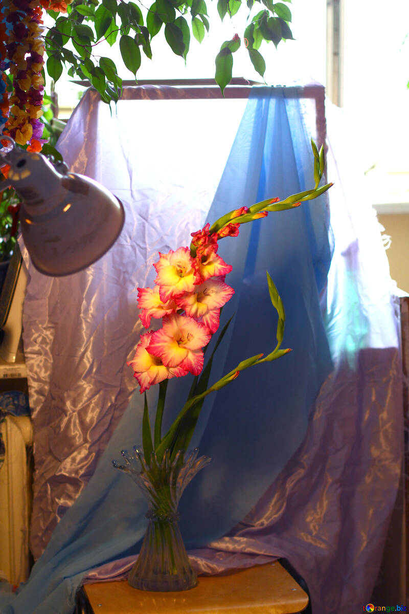 flowers with lamp and fabric №50566
