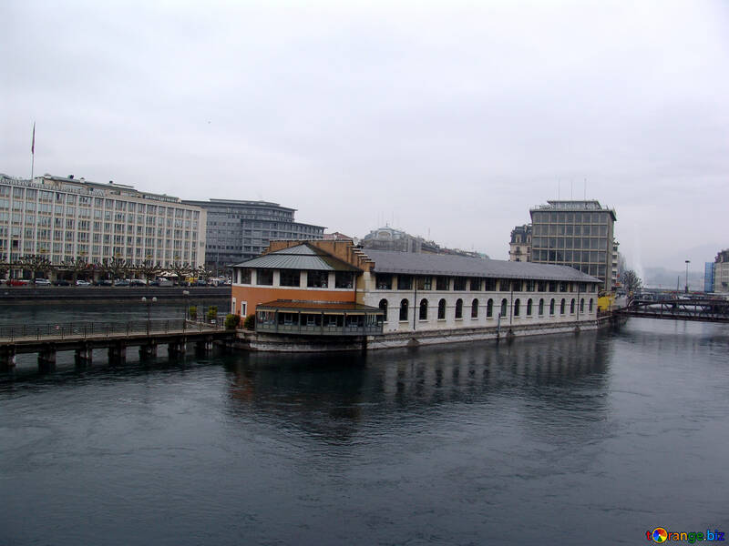 Restaurant in Geneva on the river №50162