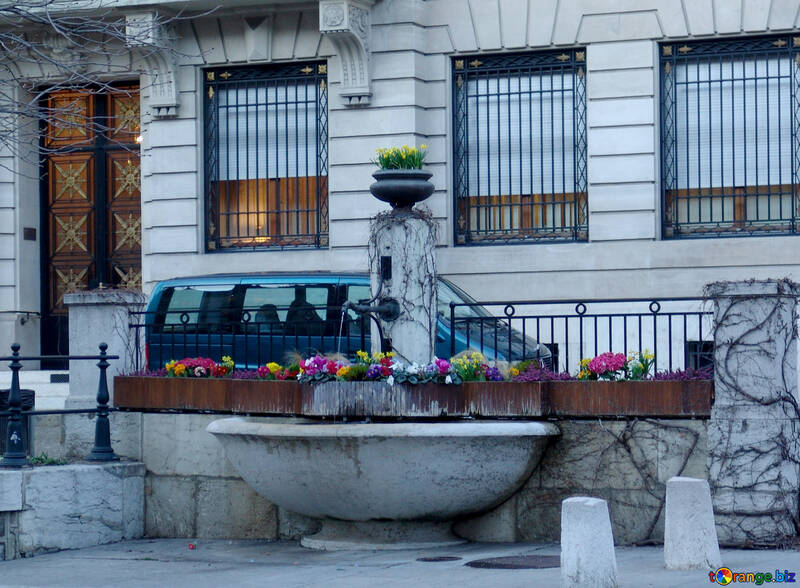 Eine kleine Brunnenquelle in Genf №50103