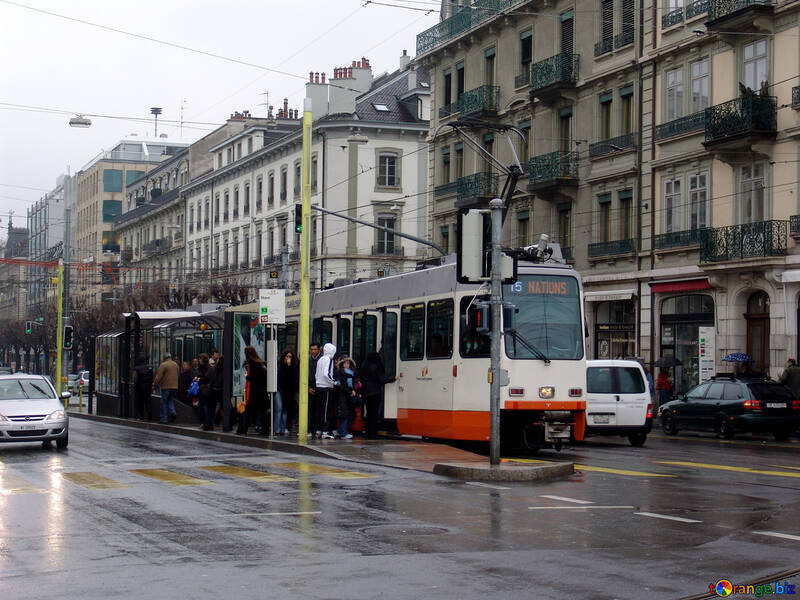 Tram in Geneva №50208