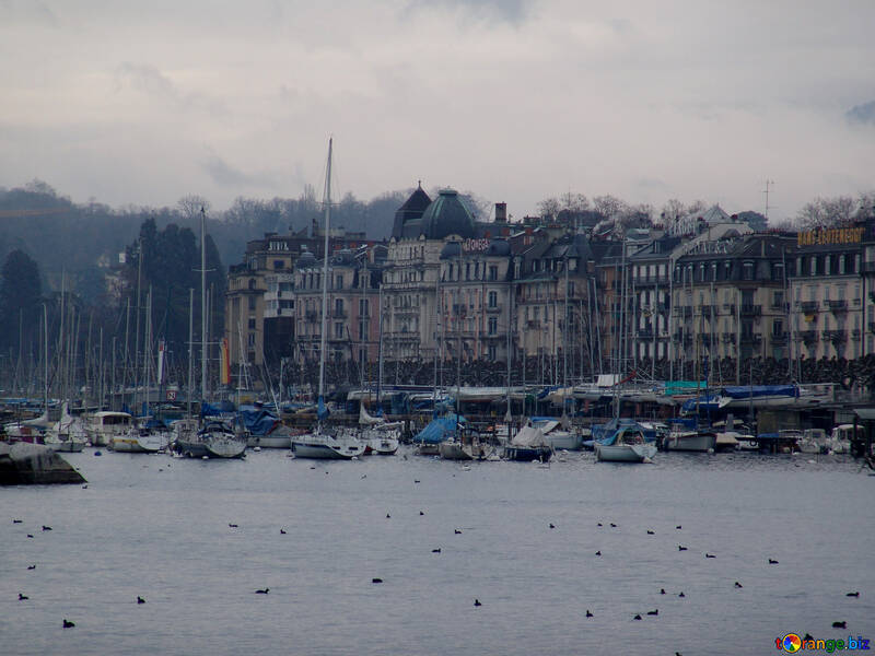 Yachts in the Geneva Lake №50247