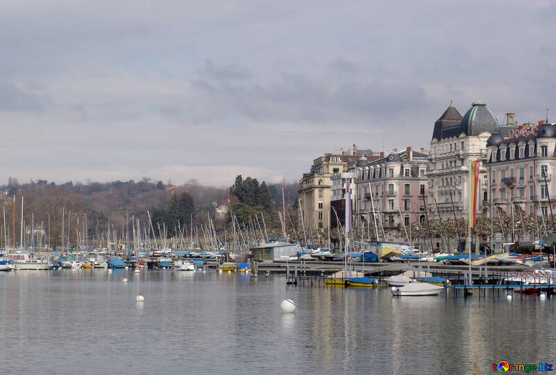 Yachts in Geneva №50246
