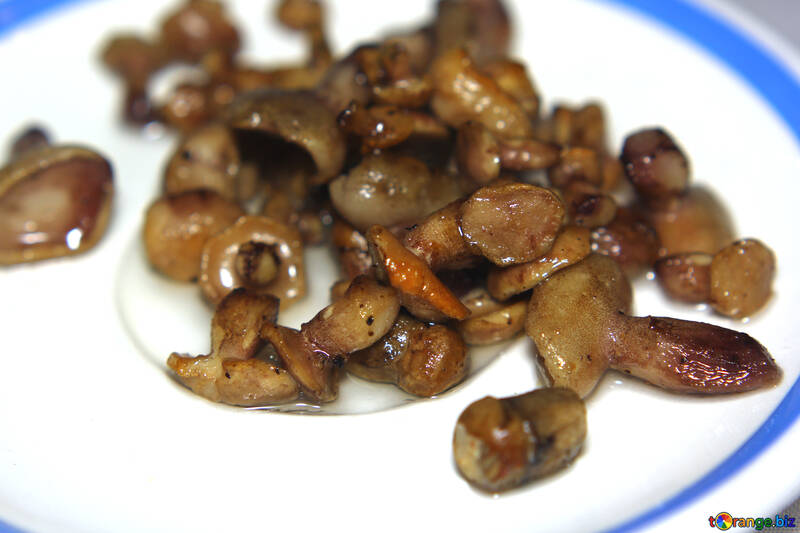 Смажені гриби їжа №50629