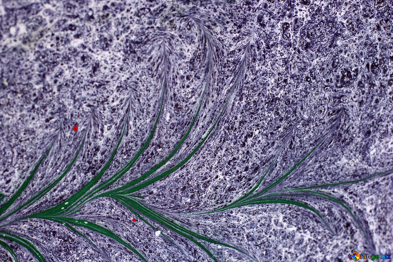 Natura foglia disegnare foglie viola intorno №50899