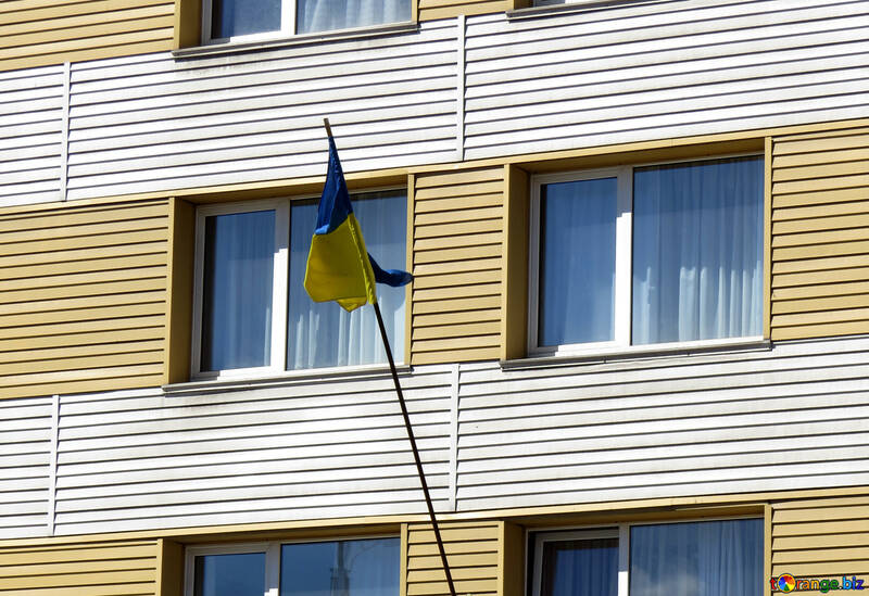 Bandiera dell`Ucraina sopra la casa №50360