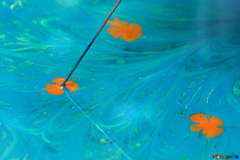 Pétalos de naranja sobre el agua Flores pintura clavo №50938