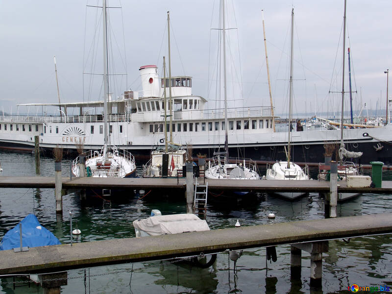 Yachts dans le port №50248