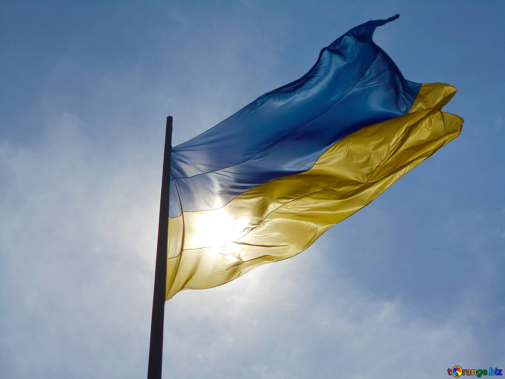 Bandiera ucraina immagine libera - № 51266