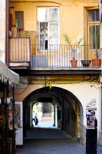 Eingang eines Hauses mit einem Torbogen und einer Palme auf einem Topf und einem Balkon №51887