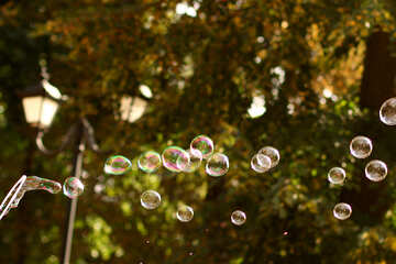 Bubbles soap park №51126