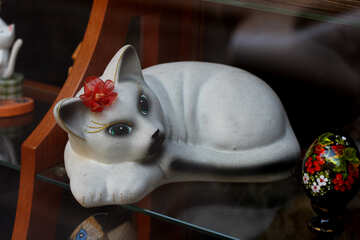 Gato branco com uma flor na cabeça