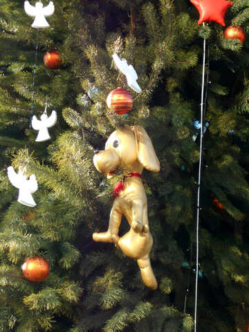 Cane nell`albero di Natale №51164