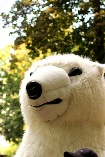 Bambola orso polare №51012