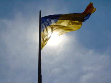 Una bandiera sventolante Ucraina №51265
